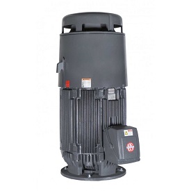 HT60P2CLG, 60HP, 1800 RPM, 460V, 364TP, 3PH, TEFC, Vertical Holloshaft